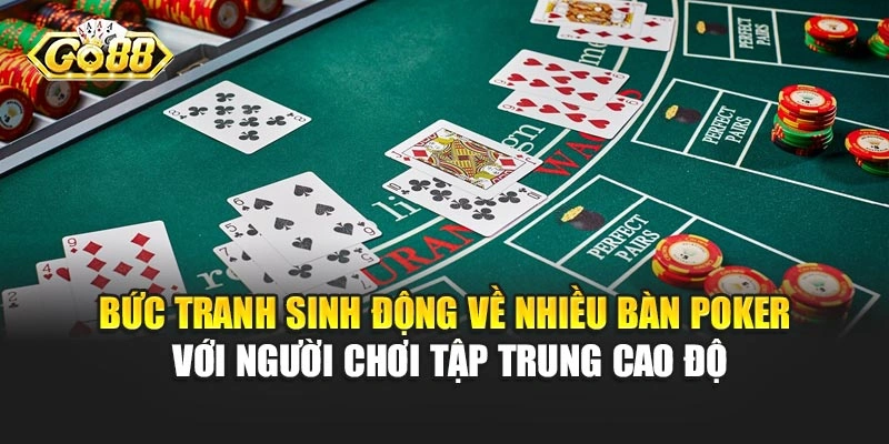 Bức tranh sinh động về nhiều bàn Poker với hội viên tập trung cao độ