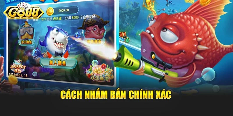 Cách nhắm bắn chính xác