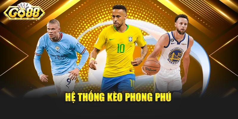Hệ thống kèo phong phú