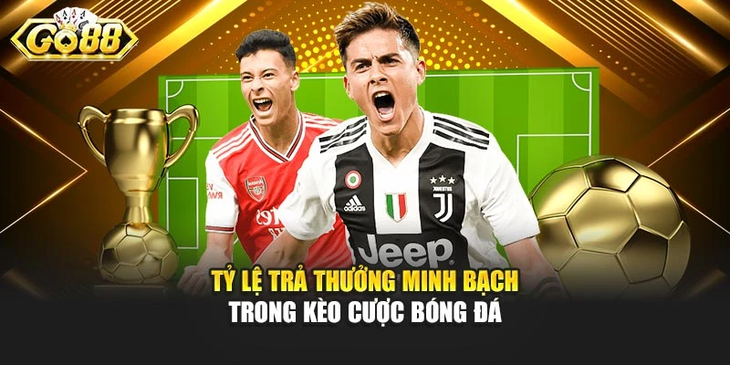 Tỷ lệ trả thưởng minh bạch trong kèo cược bóng đá